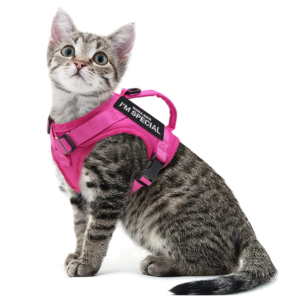Arnés Táctico Militar Ajustable para Perros y Gatos – Máximo Confort, Seguridad y Control