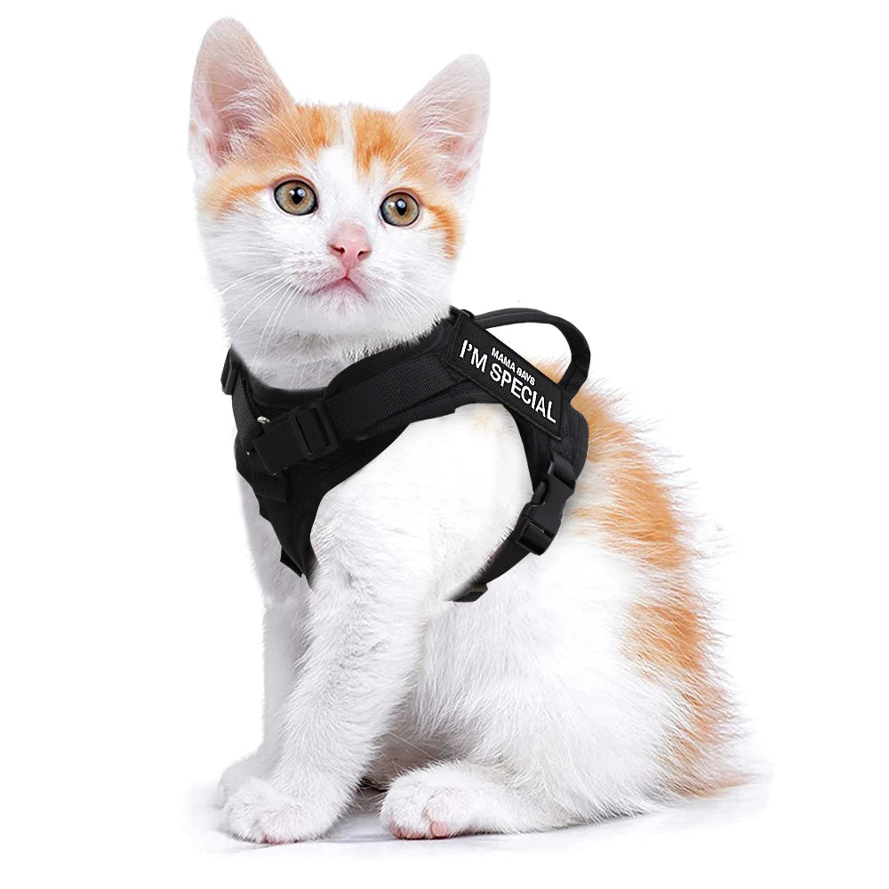Arnés Táctico Militar Ajustable para Perros y Gatos – Máximo Confort, Seguridad y Control