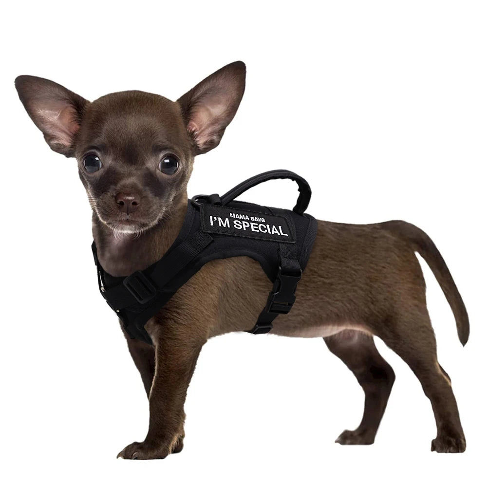 Arnés Táctico Militar Ajustable para Perros y Gatos – Máximo Confort, Seguridad y Control